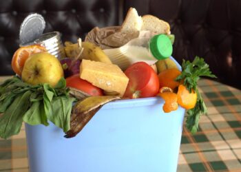 Closing the Loop: How Circular Economy Approaches Can Tackle Food Waste and Promote Sustainability