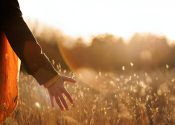 Environmental Sustainability: A Continuous Commitment to Living in Harmony with the Earth