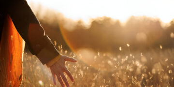 Environmental Sustainability: A Continuous Commitment to Living in Harmony with the Earth