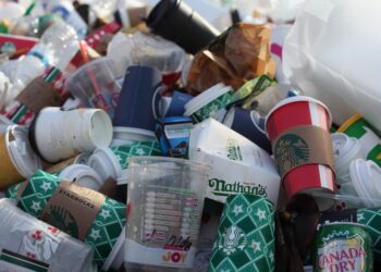 Are Bioplastics a Sustainable Alternative to Single-Use Plastic? A Pilot Project at the University of South Florida