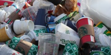 Are Bioplastics a Sustainable Alternative to Single-Use Plastic? A Pilot Project at the University of South Florida