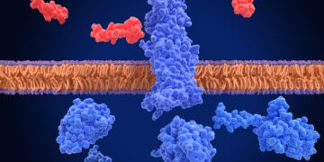 Optimization of the Degradation Processes for Polylactic Acid using Microbial Enzymes: A Brief Summary