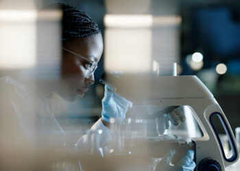 Artificial Intelligence (AI) in Predictive Microbial Degradation of Oil Contamination