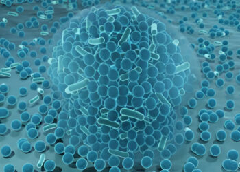 Azadirachta indica Leaf Essential Oil as Control of Biofilm-Producing Microorganisms from Hospital Environment