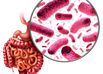 Antecedent Rainfall Impacted Levels of Enteric Bacteria and Opportunistic Bacterial Pathogens in Coastal Recreational Water in Araromi, Nigeria