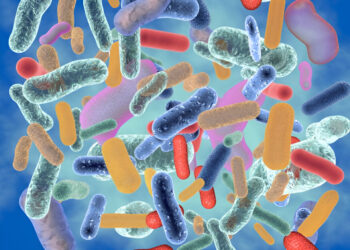 Microbiomes and Food Microbiology