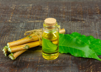 Comparative Studies on Amelioration of Renal and Hepatic Functions by Essential Oil of Picralima nitida Seeds and Azadirachta indica Leaves in Mice Infected by Plasmodium berghei (NK-65)