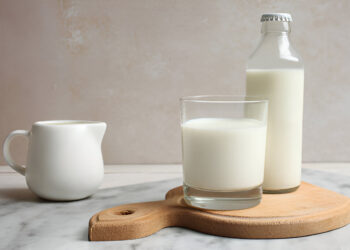 Nutritional and Antioxidant Properties of Fermented Kunu Using Lactobacillus plantarum, Lb. fermentum, Bacillus subtilis and Saccharomyces cerevisiae Isolates