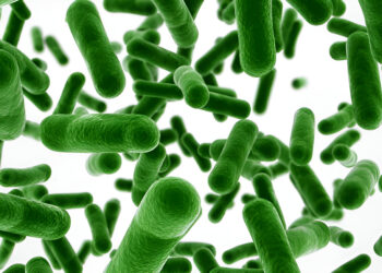 Effect of Lactic Acid Bacteria as a Tool for Probiotification on the Composition of Orange and Cocktail Juices