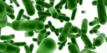 Effect of Lactic Acid Bacteria as a Tool for Probiotification on the Composition of Orange and Cocktail Juices