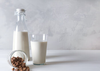 Assessment of the Nutritional, Physicochemical and Phytochemical Composition of Spicy Cereal-Supplemented Tiger Nut Beverage