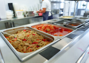 Comprehensive Microbial and Physicochemical Assessment of Wastewater from Joseph Ayo Babalola University Cafeteria, Osun State, Nigeria