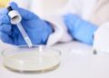 Isolation, Biochemical Characterization and Screening of Folate Producing Potential Starter Culture from Pigeon Pea and Brown Rice