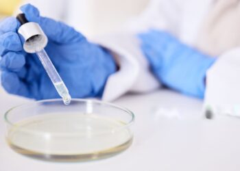 Isolation, Biochemical Characterization and Screening of Folate Producing Potential Starter Culture from Pigeon Pea and Brown Rice