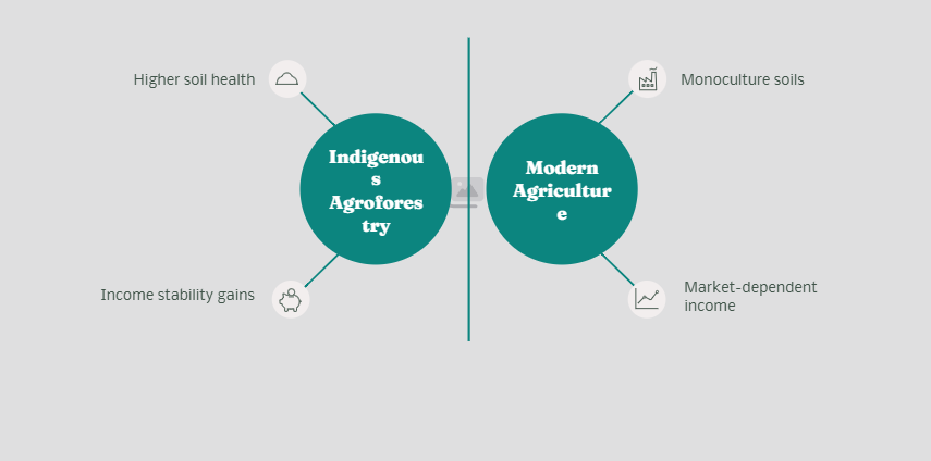 Traditional agroforestry, sustainability, climate resilience, Mexico, Indigenous knowledge