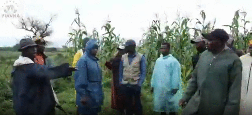 Figure 2: Joint farming initiatives demonstrating cooperation between previously conflicted groups.